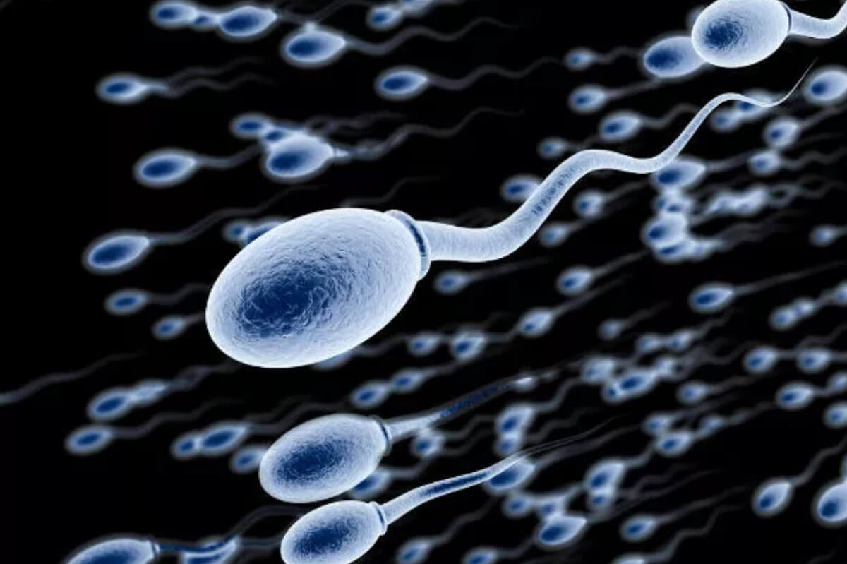Künstliches Sperma selbst machen: Hier 3 einfache Rezepte für Fake-Cum