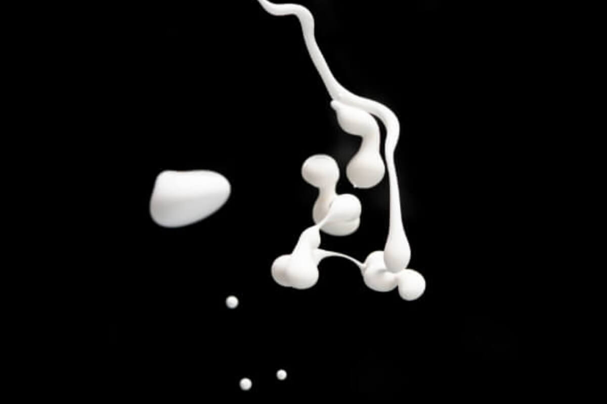 BDSM forced ejaculation – prostate & sperm milking made easy
