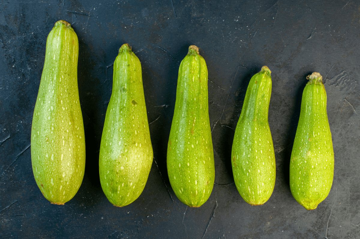 Blutpenis vs Fleischpenis – Grower vs Shower