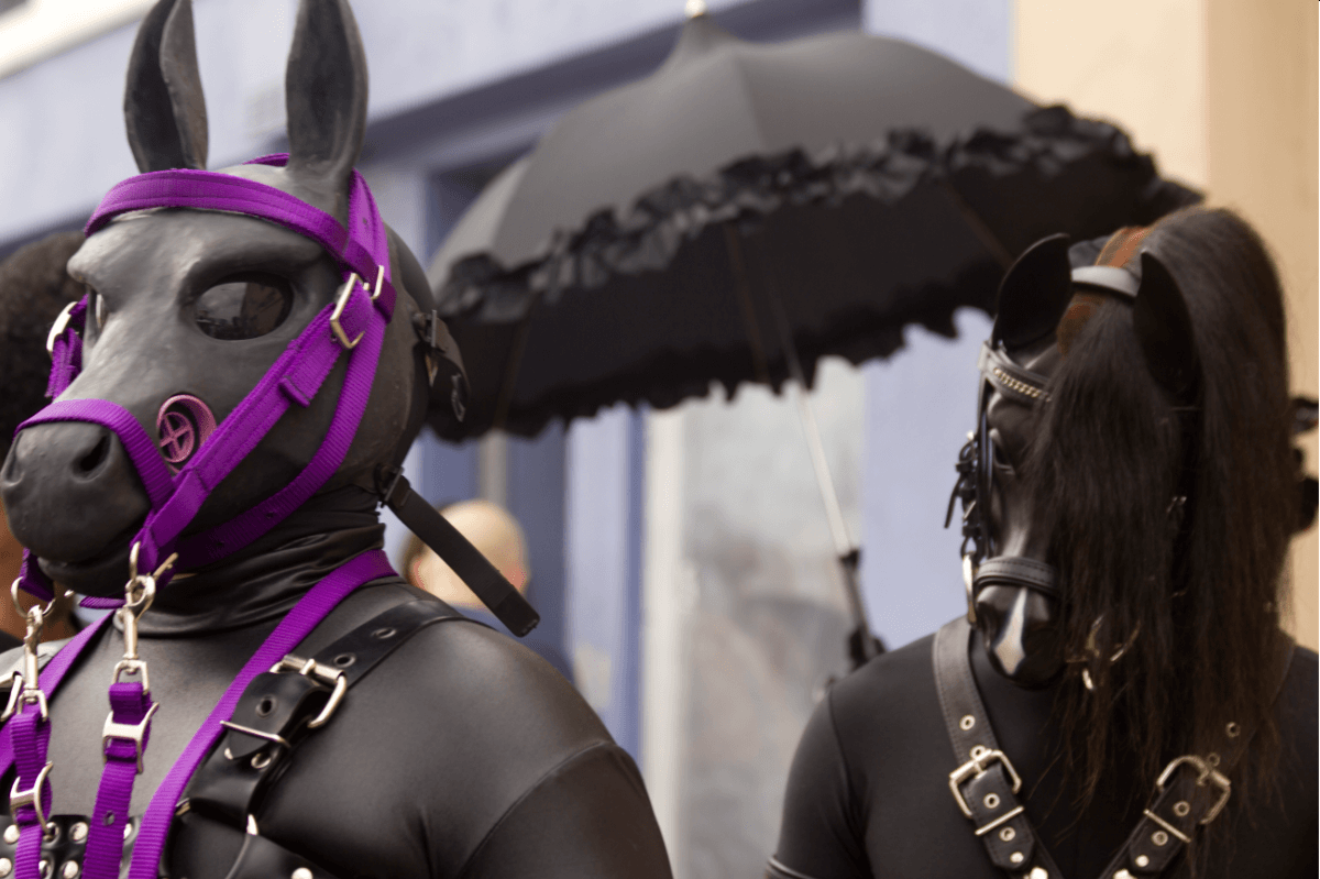 Ponyplay: Entdecke die aufregende Welt des Pony-Fetischs