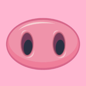 Pig Play Symbolbild: Schweinenase. Pig Play Symbol image: Pig's nose.